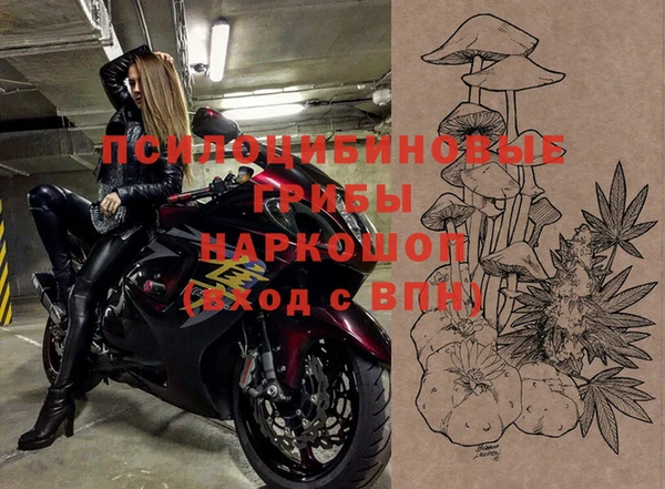 ешки Алексин