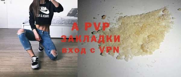ешки Алексин
