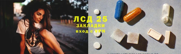 ешки Алексин