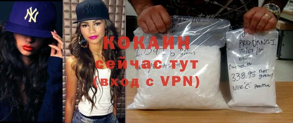 ешки Алексин
