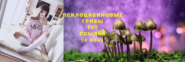 гашик Алексеевка