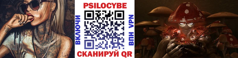 Купить где Александров Галлюциногенные грибы Magic Shrooms